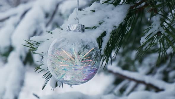 Transparent Trendy Glass Christmas Ball on Snowy Branch Firs in Winter Forest