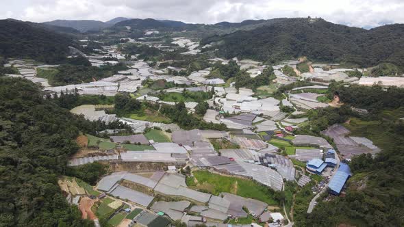 Cameron Highlands, Pahang Malaysia