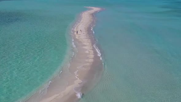 Aerial view travel of tourist beach wildlife by sea with sand background