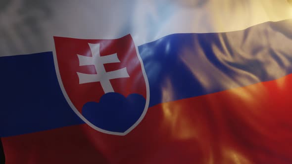 Slovakia Flag