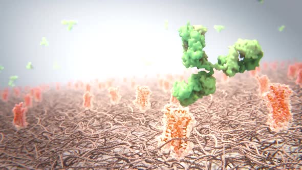 Microbiology Medical Animation of G Protein Coupled Receptors