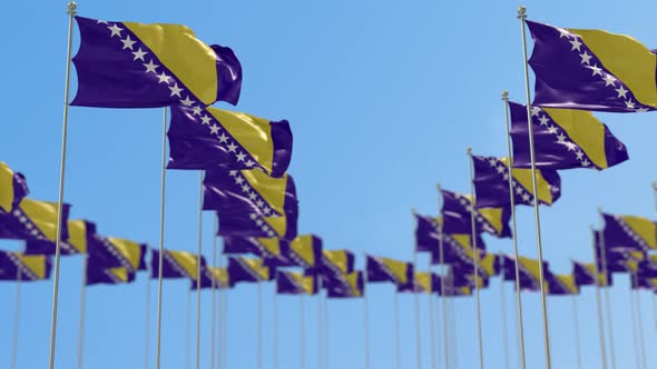 Bosnia and Herzegovina Row Of National flags Walk Throw Animation