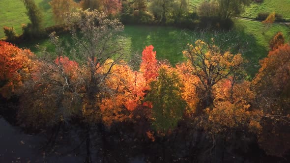 Scenic Aerial of Autumn Colors, Trees, Forests. Aerial 4k