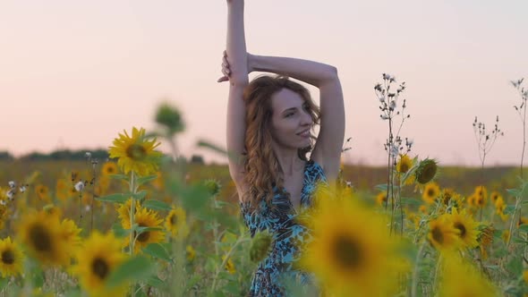 Young Attractive Woman with Red Hair and Blue Dress Walks in a Field of Sunflowers at Sunset