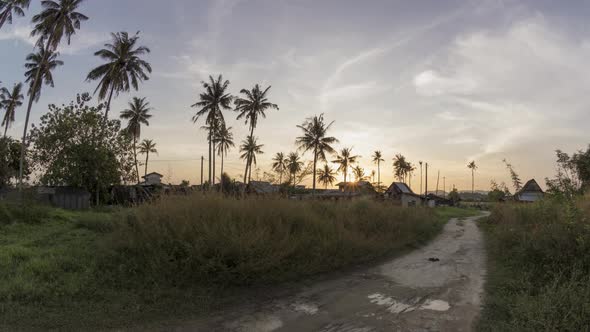 Timelapse evening hour of plantation farm.