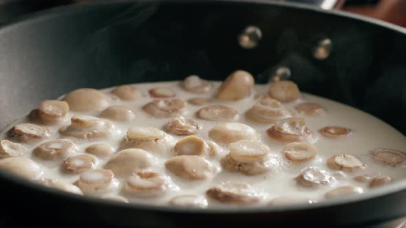 Cooking Mushrooms with Cream