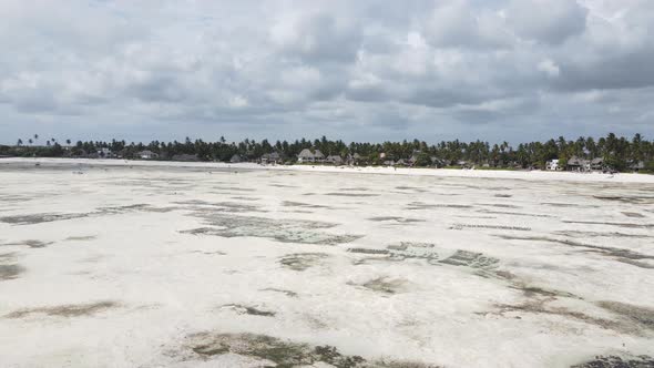 Ocean Low Tide Near the Coast of Zanzibar Island Tanzania