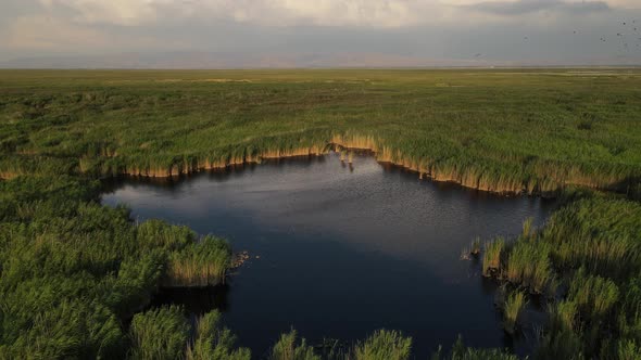 Natural Lake Lagun Aerial View