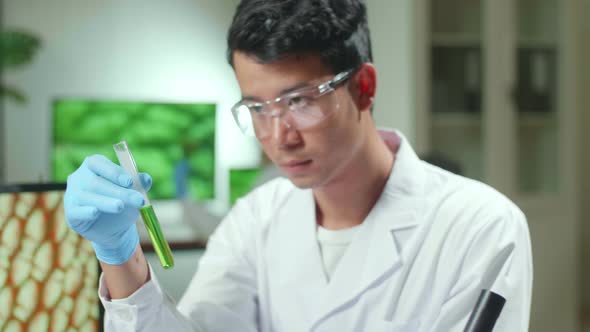 Asian Researcher Looking At Test Tube With Green Dna Of Sapling Analyzing Genetic Mutation Modified