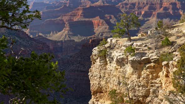 Scenic View of Grand Canyon, USA, Red Weathered Rocks in Background, Evergreen Trees on Cliffs