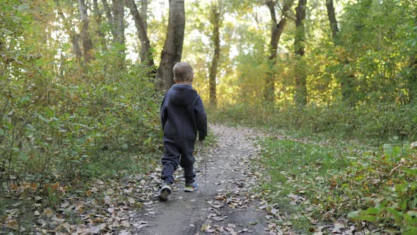 Child Running in the Yellow Leaves