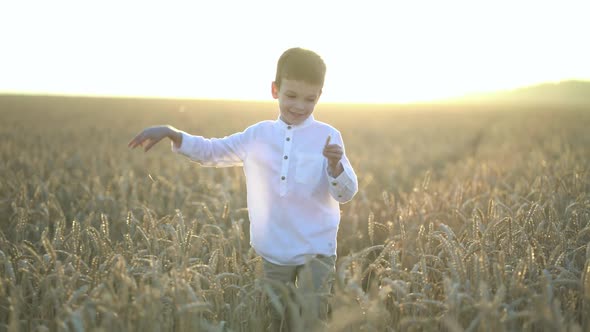 Boy Walking and Touching Wheat Ears on the Field