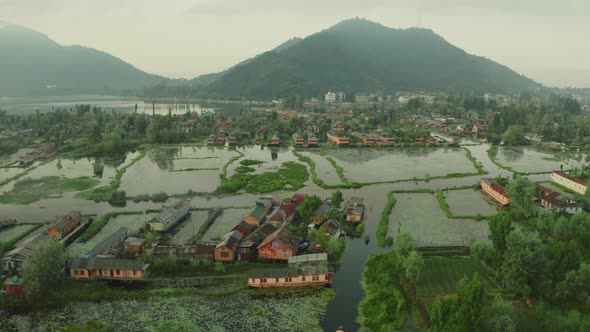 Aerial view of group of typical home in the middle of the swamp, Srinagar.