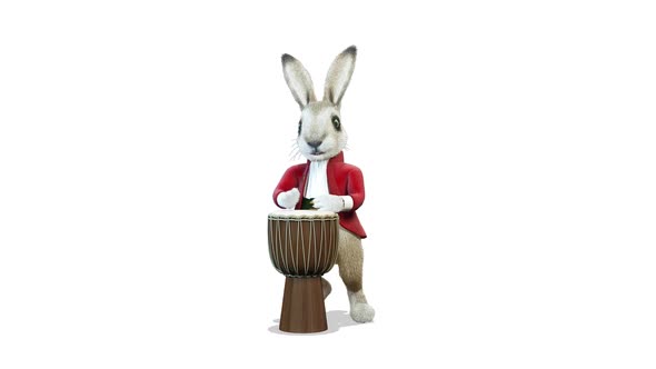 Rabbit Playing Drums on White Background
