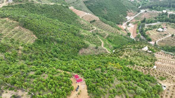 Farm Landscapes Background Texture 4 K Aerial View