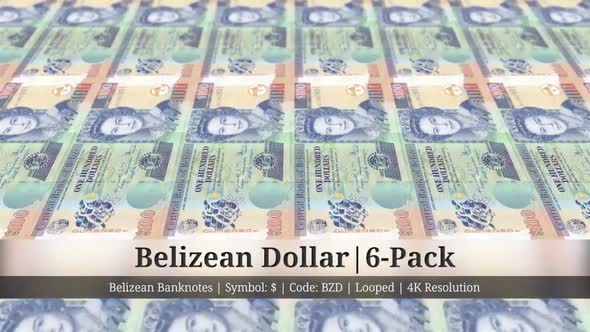 Belizean Dollar | Belize Currency - 6 Pack | 4K Resolution | Looped