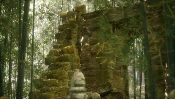 The Ruins of Ancient Buildings in Green Bamboo Forest alt