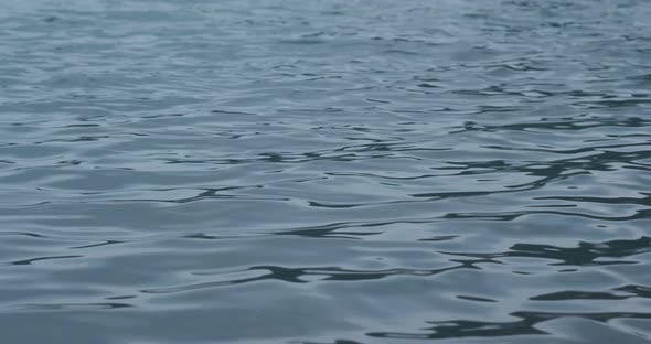 Ripples on the blue surface of the sea