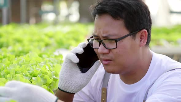Close up hands of farmer taking photo to record and check quality of hydroponic vegetables