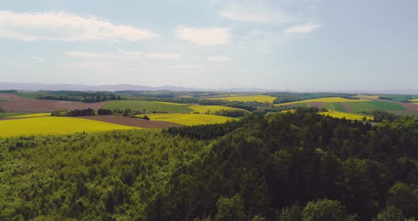 Various Agriculture Fields Aerial View