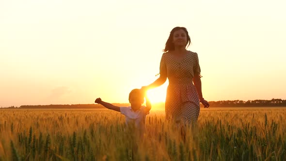 A Happy Mother Holds Her Child's Hand and Runs Across a Wheat Field at Sunset. A Mother and a Little