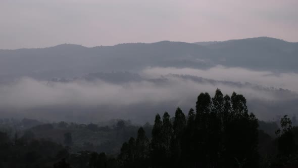 Landscape view of greenery rainforest mountains on foggy day