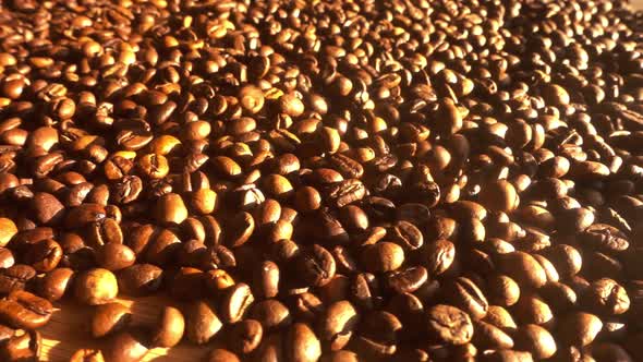 Close Up Seeds of Coffee