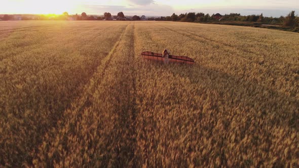 Aerial View. Girl Runs Across the Summer Field with Open Wings