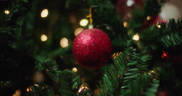 Red ball Christmas toy on tree