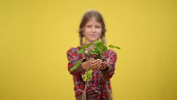 Teenage Girl Stretching Green Plant to Camera at Yellow Background