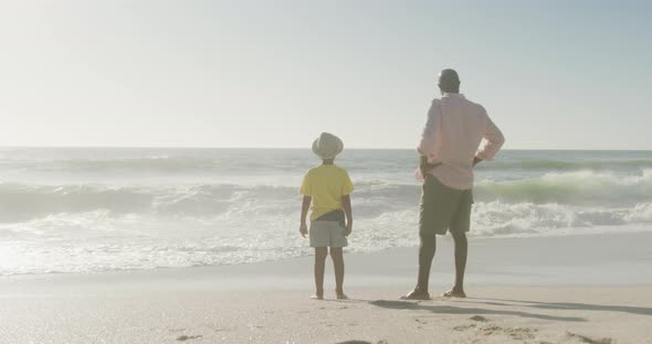 Senior african american man with grandson standing on sunny beach