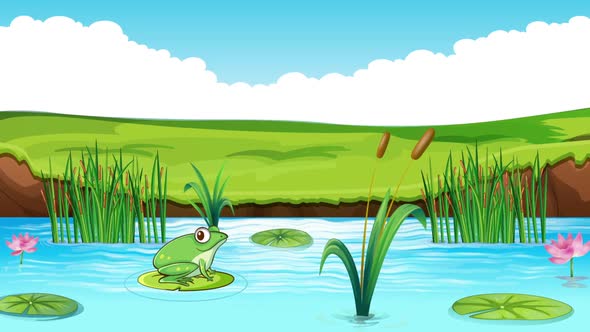 Frog in the Lake