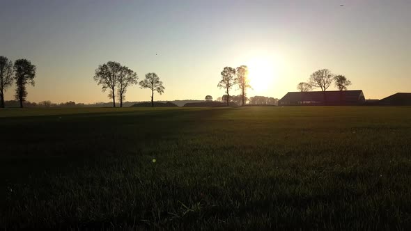 Aerial Cinematic Clip Drone Flying in a Circular Motion Over a Farm Field During Sunset