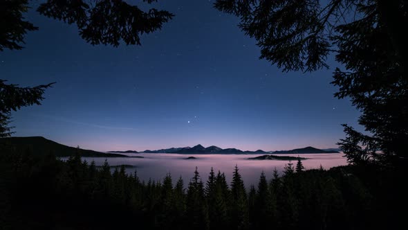 Blue Starry Night Sky with Stars in Forest Mountains Astronomy Time