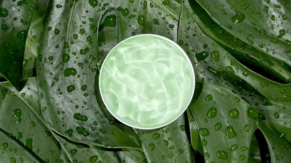 Green Cosmetic Cream with Rotation on Background of Tropical Leaves Monstera