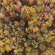A Drone Flies Over the Autumn Forest. Autumn in Central Russia. the View from The Height. - VideoHive Item for Sale