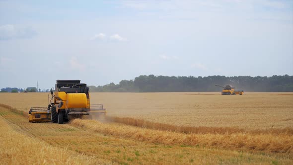 Combine harvester at work harvesting a field of wheat. 