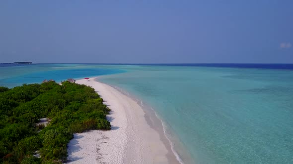 Drone abstract of seashore beach wildlife by clear ocean with sand background