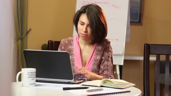 Woman House Keeper Working Over Internet at Home, Freelance Job