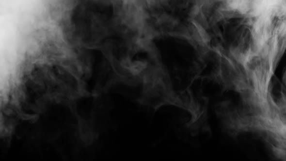 Slow Motion Abstract White Smoke Fog Steam Cloud Floating on Black Backdrop