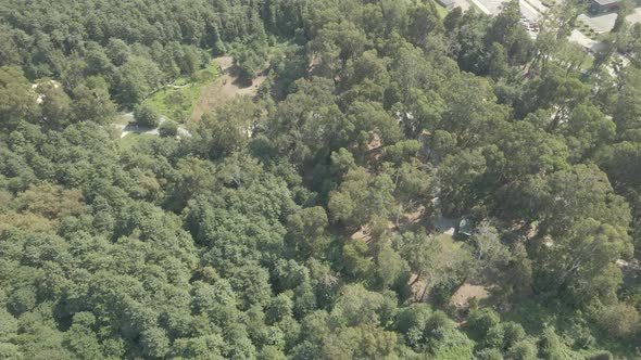 Flying over Musicians Park in Shekvetili. Georgia