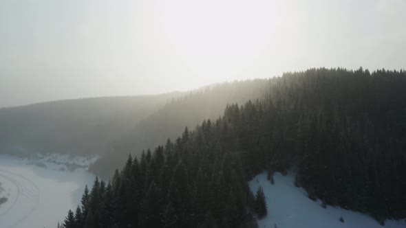 Aerial View of the Winter Forest and the Sun Snow Flying Into the Camera