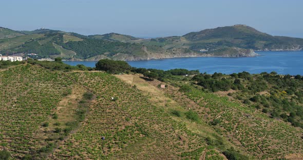 The  cap Rederis between Banyuls sur Mer and Cerbere, Pyrenees Oriantales department, France