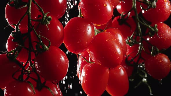 Cherry Tomatoes with Water Splash at a Dark Background