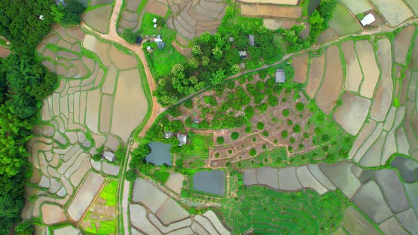 Aerial view of drones flying over rice terraces