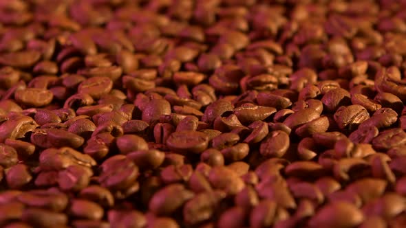 Coffee Beans Background with Purple Light, Rotation, Close Up