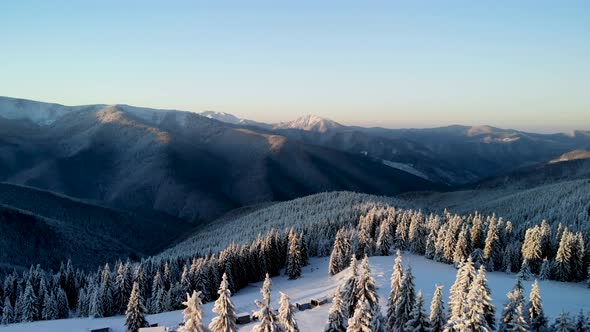 Aerial Flying Above Winter Forest in Mountain Valley at Sunrise