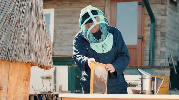 Senior Man Beekeper Collecting Honey From Honeycomb