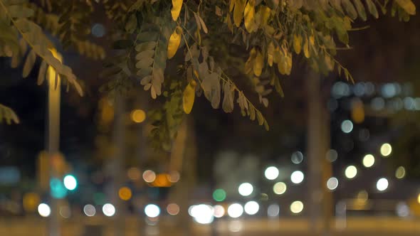 Bokeh lights in night city