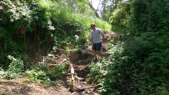 A man running with his dogs on a trail.